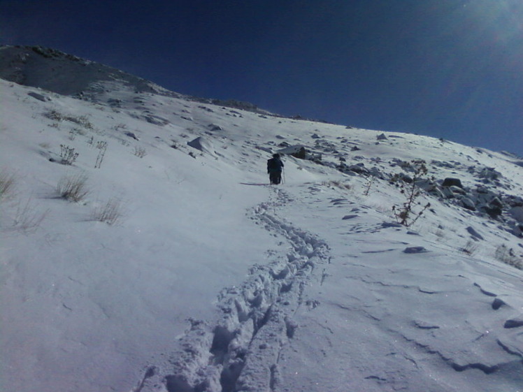 Dasht-e- havij, Damavand (دماوند)