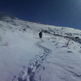 Dasht-e- havij, Damavand (دماوند)