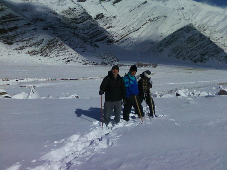 Dasht-e- havij, Damavand (دماوند)