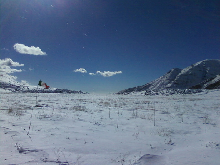 Dasht-e- havij, Damavand (دماوند)