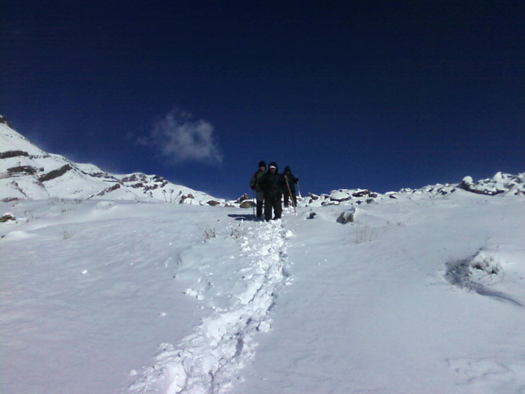 Dasht-e- havij, Damavand (دماوند)