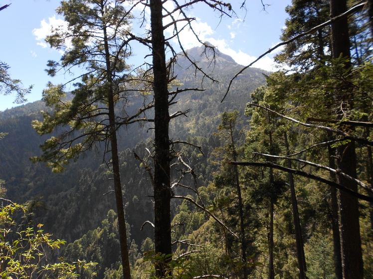 Nevado de Colima ruta "La Escalera"