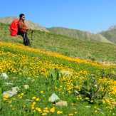 Ali Saeidi NeghabeKoohestaN, Borj