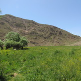 naser ramezani :  plain of garchal(dashte havij), Damavand (دماوند)