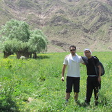 naser ramezani :  plain of garchal(dashte havij), Damavand (دماوند)