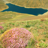 Ali Saeidi NeghabeKoohestaN, Damavand (دماوند)