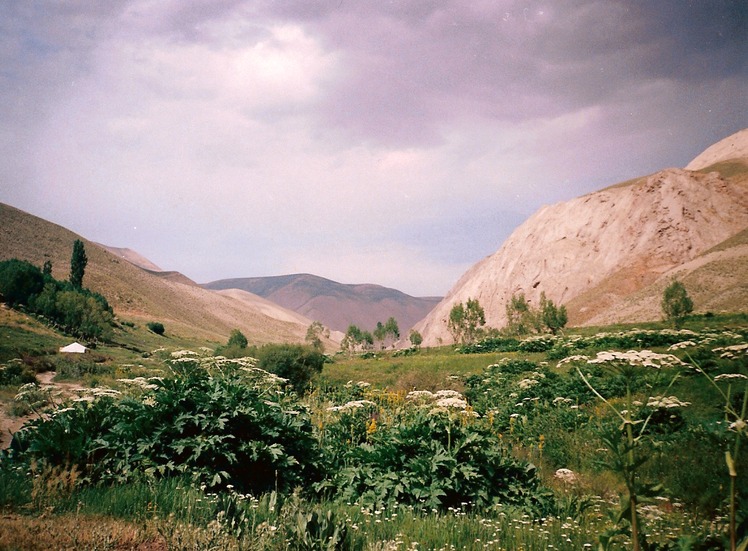 naser ramezani :  laloon valey, Borj