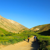 Ali Saeidi NeghabeKoohestaN, Damavand (دماوند)