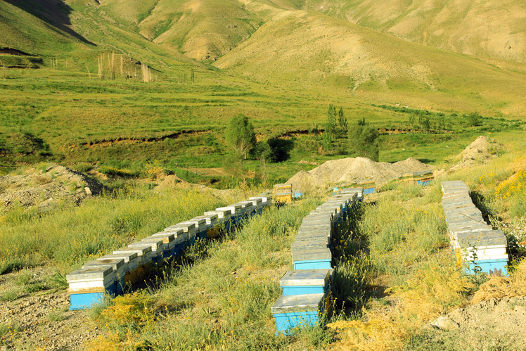 Ali Saeidi NeghabeKoohestaN, Damavand (دماوند)