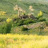 Ali Saeidi NeghabeKoohestaN, Damavand (دماوند)