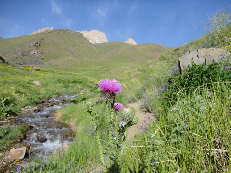 Azad Kooh, آزاد کوه‎‎