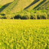 Ali Saeidi NeghabeKoohestaN, Damavand (دماوند)