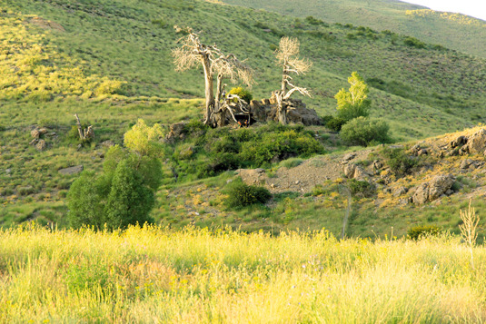 Ali Saeidi NeghabeKoohestaN, Damavand (دماوند)