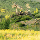 Ali Saeidi NeghabeKoohestaN, Damavand (دماوند)