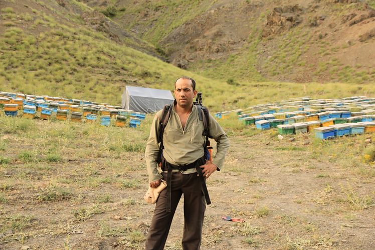 Ali Saeidi NeghabeKoohestaN, Damavand (دماوند)