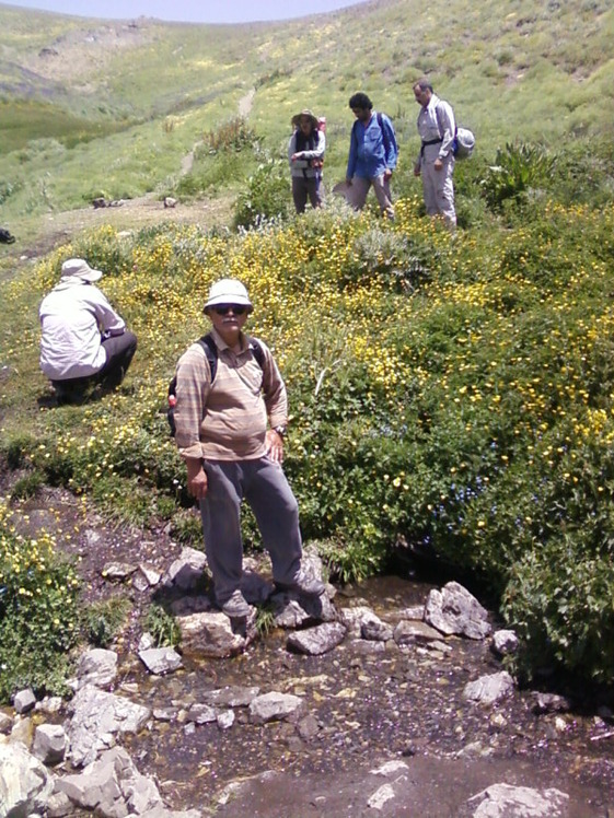Piyazchal spring, Kolakchal