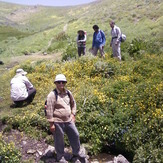 Piyazchal spring, Kolakchal