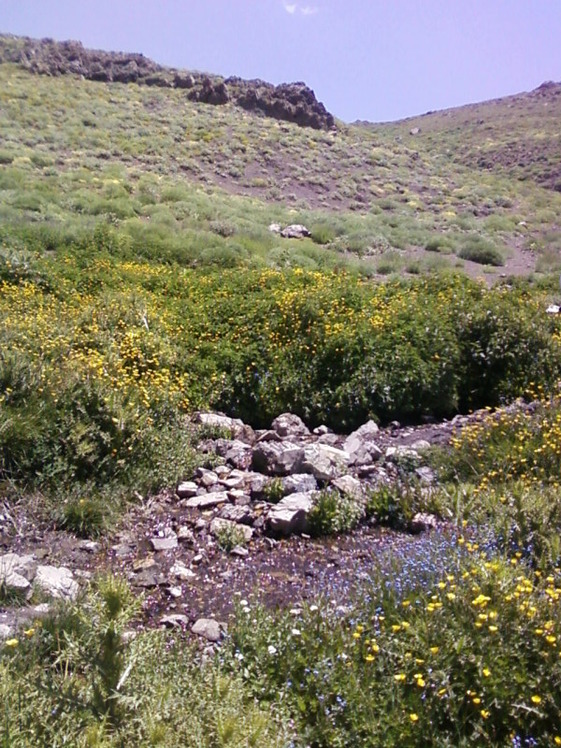 Piyazchal spring, Kolakchal