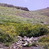 Piyazchal spring, Kolakchal