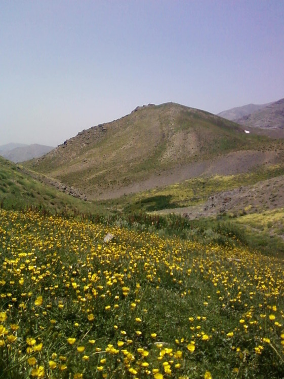 Piyazchal valley, Kolakchal