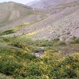 Piyazchal spring, Kolakchal