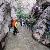 Ali Saeidi NeghabeKoohestaN, Damavand (دماوند)