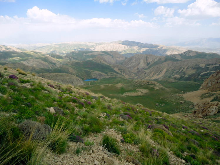 Ali Saeidi NeghabeKoohestaN, Damavand (دماوند)