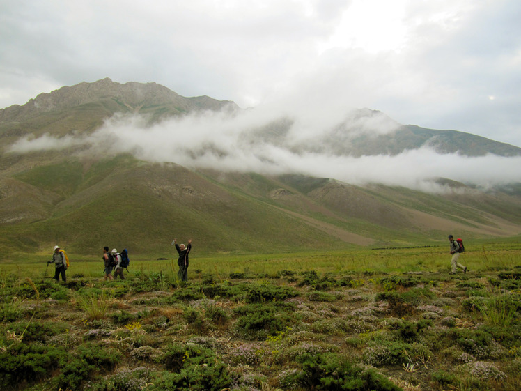 Ali Saeidi NeghabeKoohestaN, Damavand (دماوند)