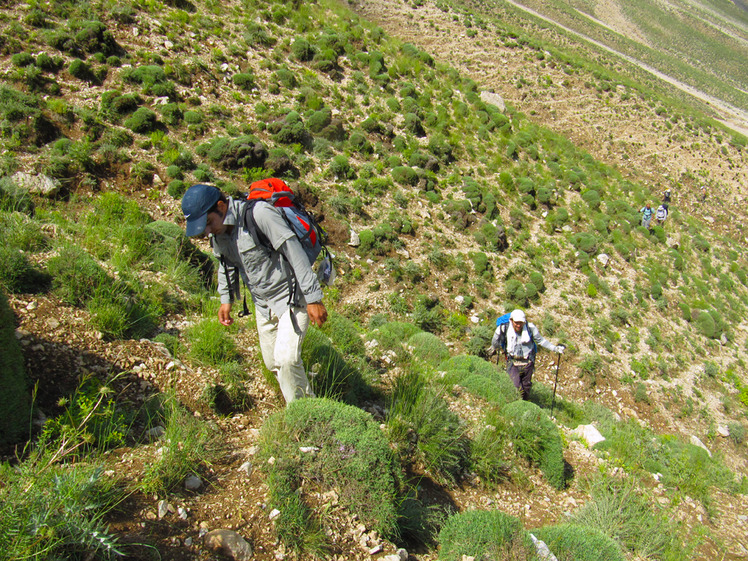 Ali Saeidi NeghabeKoohestaN, Damavand (دماوند)