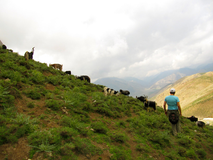 Ali Saeidi NeghabeKoohestaN, Damavand (دماوند)