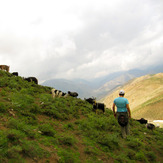 Ali Saeidi NeghabeKoohestaN, Damavand (دماوند)