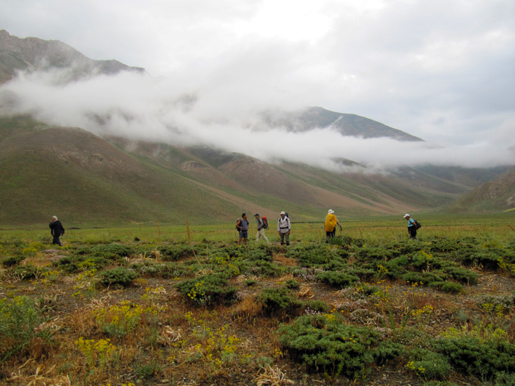 Ali Saeidi NeghabeKoohestaN, Damavand (دماوند)