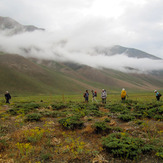 Ali Saeidi NeghabeKoohestaN, Damavand (دماوند)