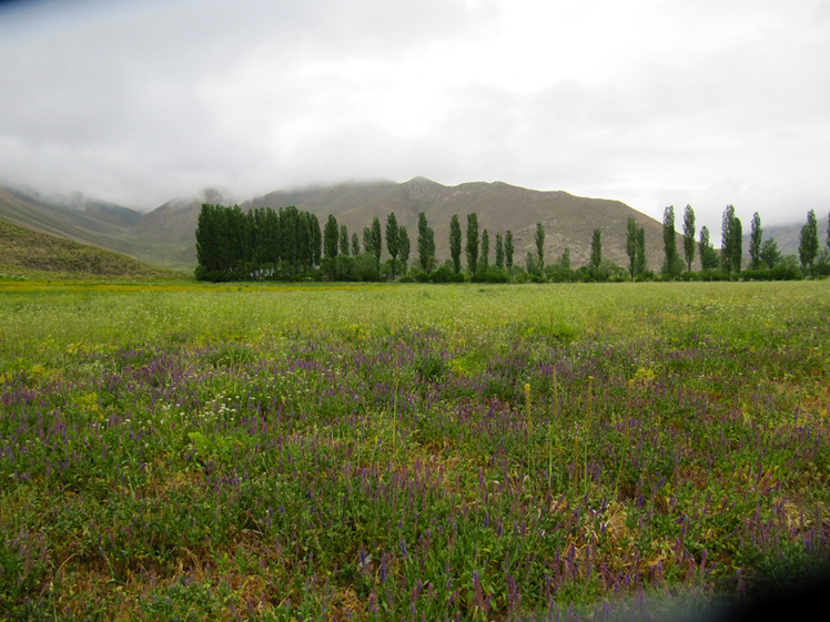 Ali Saeidi NeghabeKoohestaN, Damavand (دماوند)