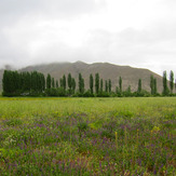 Ali Saeidi NeghabeKoohestaN, Damavand (دماوند)