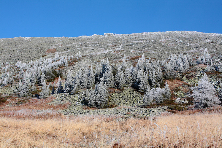 southwest plateau of Iremel