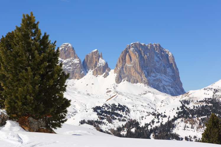 Grohmannspitze weather