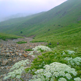 Ali Saeidi NeghabeKoohestaN, آزاد کوه‎‎