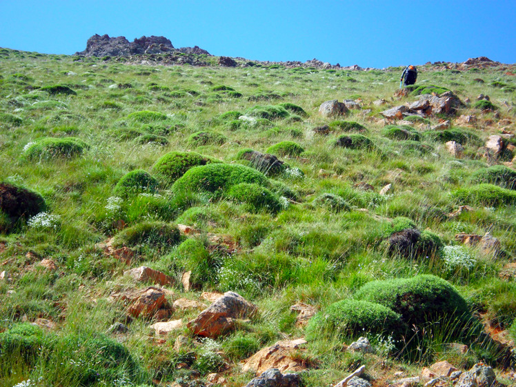 Ali Saeidi NeghabeKoohestaN, آزاد کوه‎‎