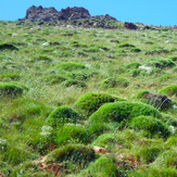 Ali Saeidi NeghabeKoohestaN, آزاد کوه‎‎