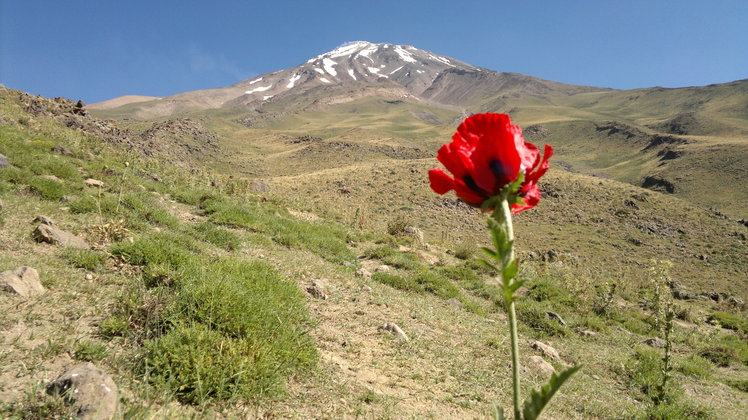 milad zavarei  (gorgan-iran), Damavand (دماوند)