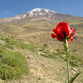 milad zavarei  (gorgan-iran), Damavand (دماوند)