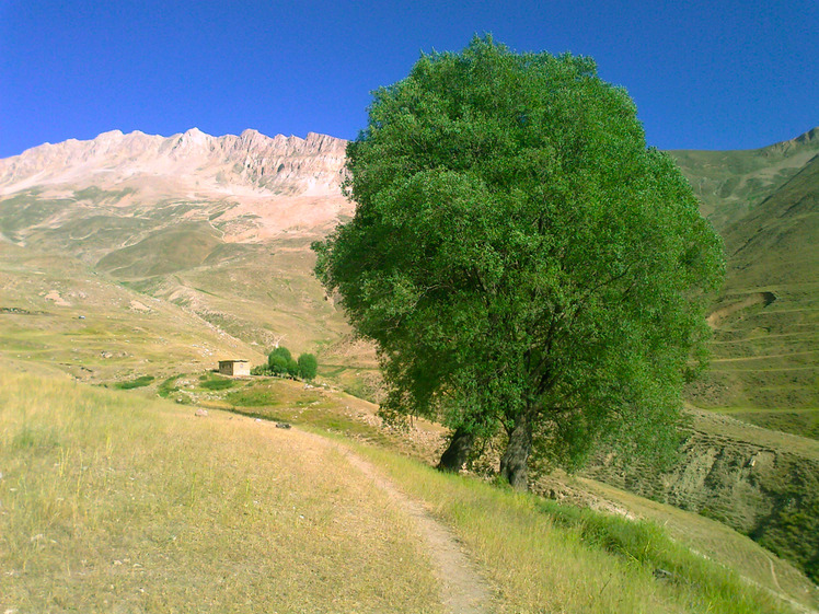 Ali Saeidi NeghabeKoohestaN, Damavand (دماوند)