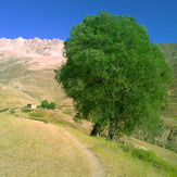 Ali Saeidi NeghabeKoohestaN, Damavand (دماوند)