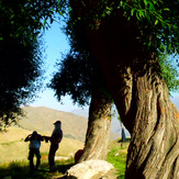 Ali Saeidi NeghabeKoohestaN, Damavand (دماوند)