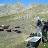 Ali Saeidi NeghabeKoohestaN, Damavand (دماوند)