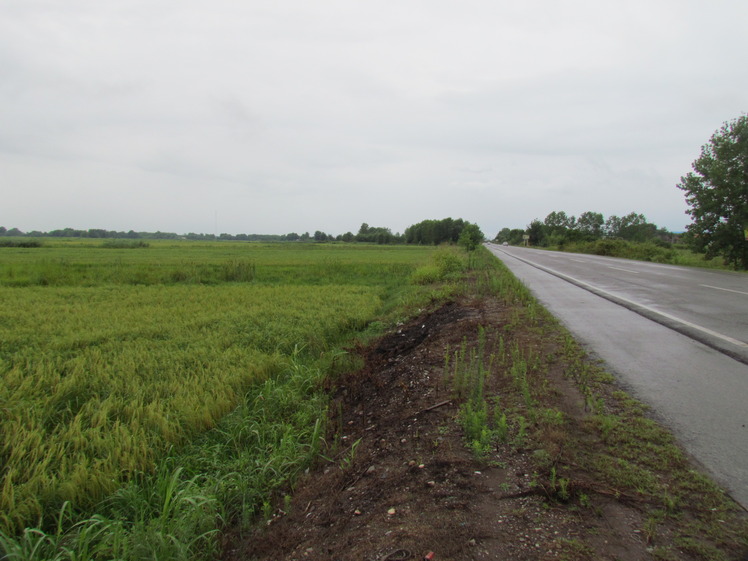 naser ramezani :  road to port anzali, سبلان