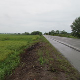 naser ramezani :  road to port anzali, سبلان