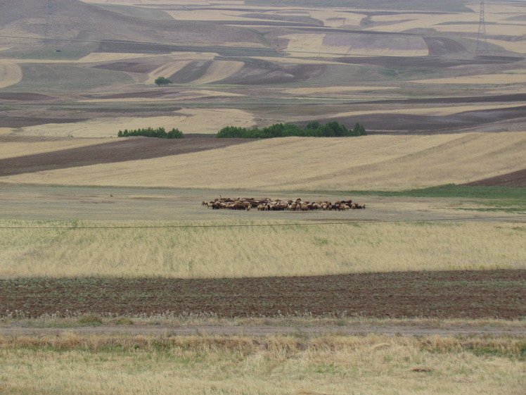 naser ramezani :  around ardebil city, سبلان