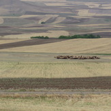 naser ramezani :  around ardebil city, سبلان